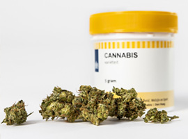 Medizinal-Cannabis